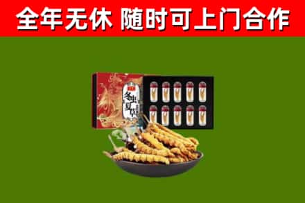 甘井子区烟酒回收冬虫夏草礼盒.jpg